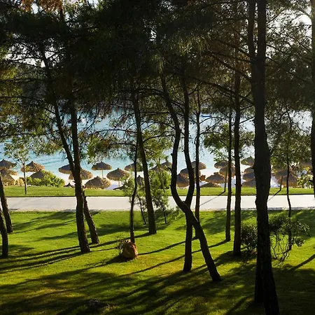Отель Lujo Bodrum 5*
